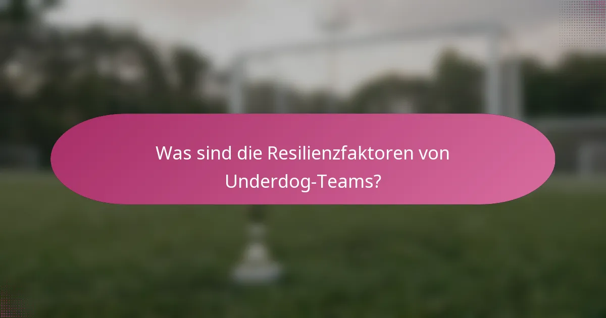 Was sind die Resilienzfaktoren von Underdog-Teams?