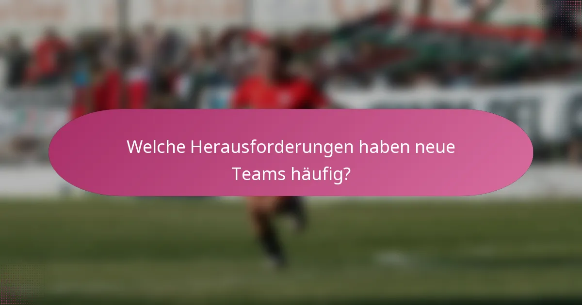 Welche Herausforderungen haben neue Teams häufig?